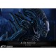 Aliens Movie Masterpiece Action Figure 1/6 Alien Warrior 35 cm